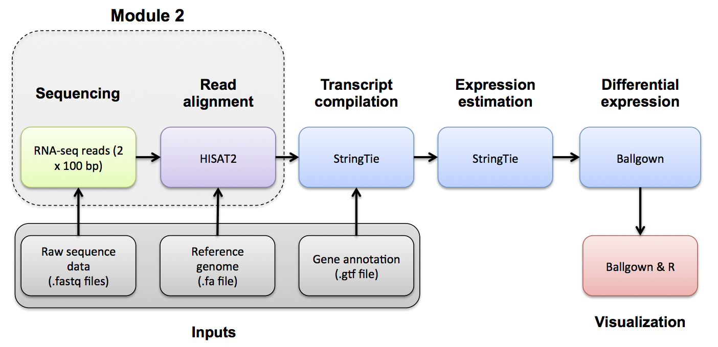 RNA-seq_Flowchart3