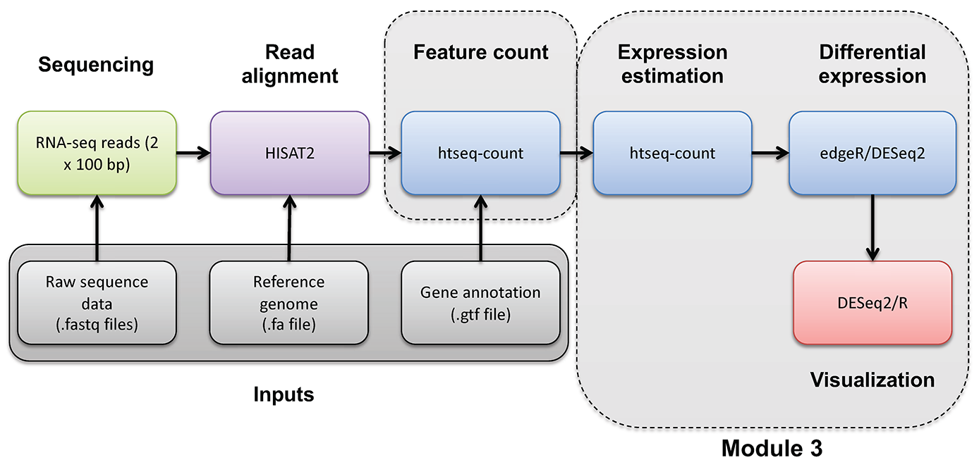 RNA-seq_Flowchart4