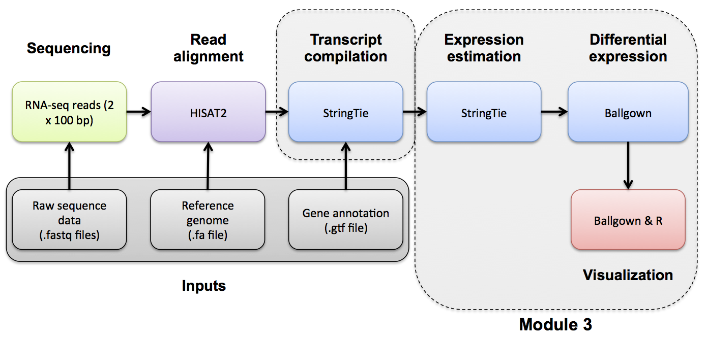 RNA-seq_Flowchart4