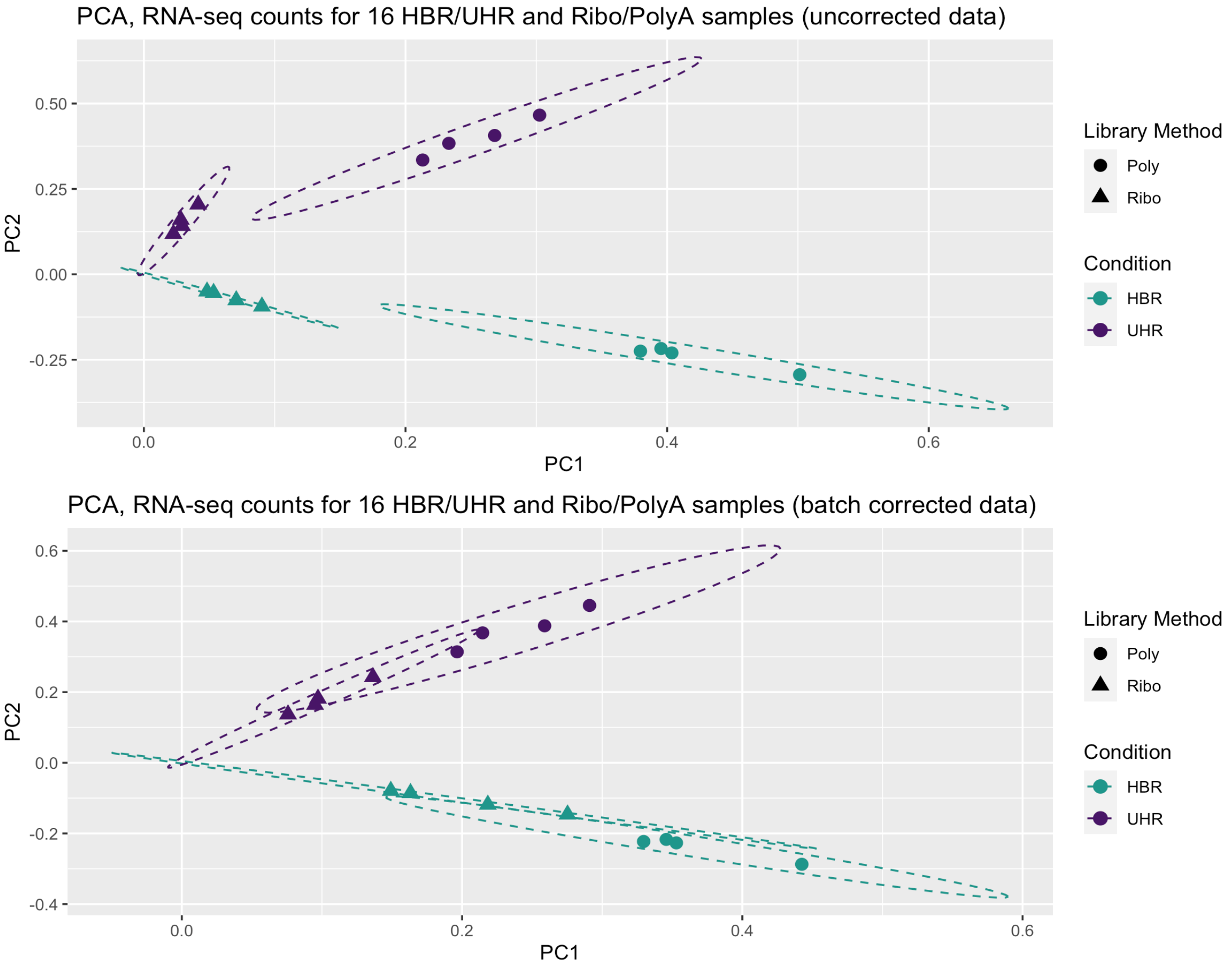 PCA-Plot