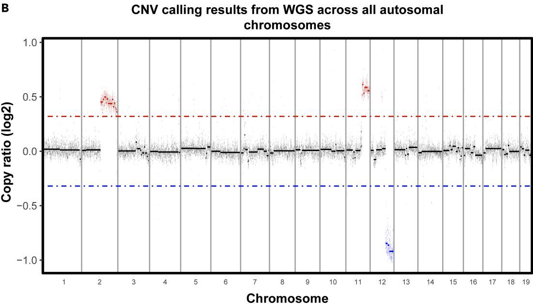CNV_WGS_scatterplot
