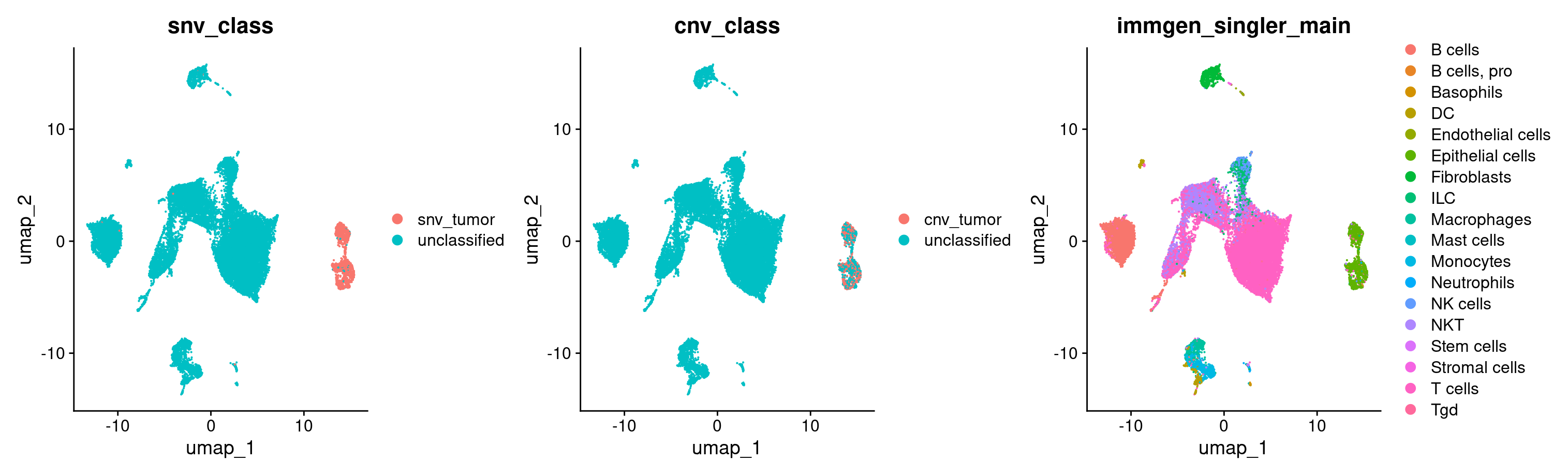 CNV SNV tumor cells