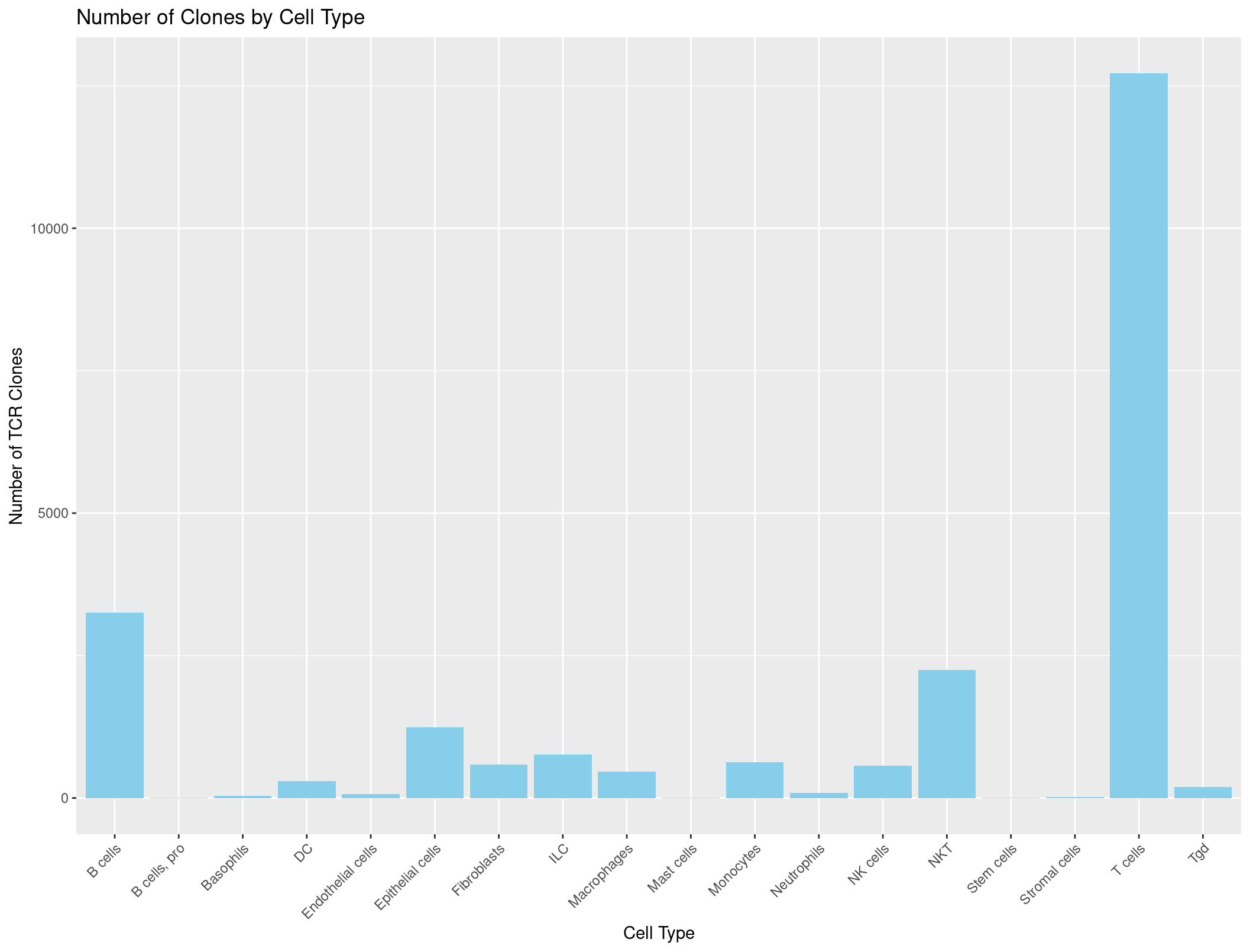 The number of TCRs in each celltypes (incorrect)