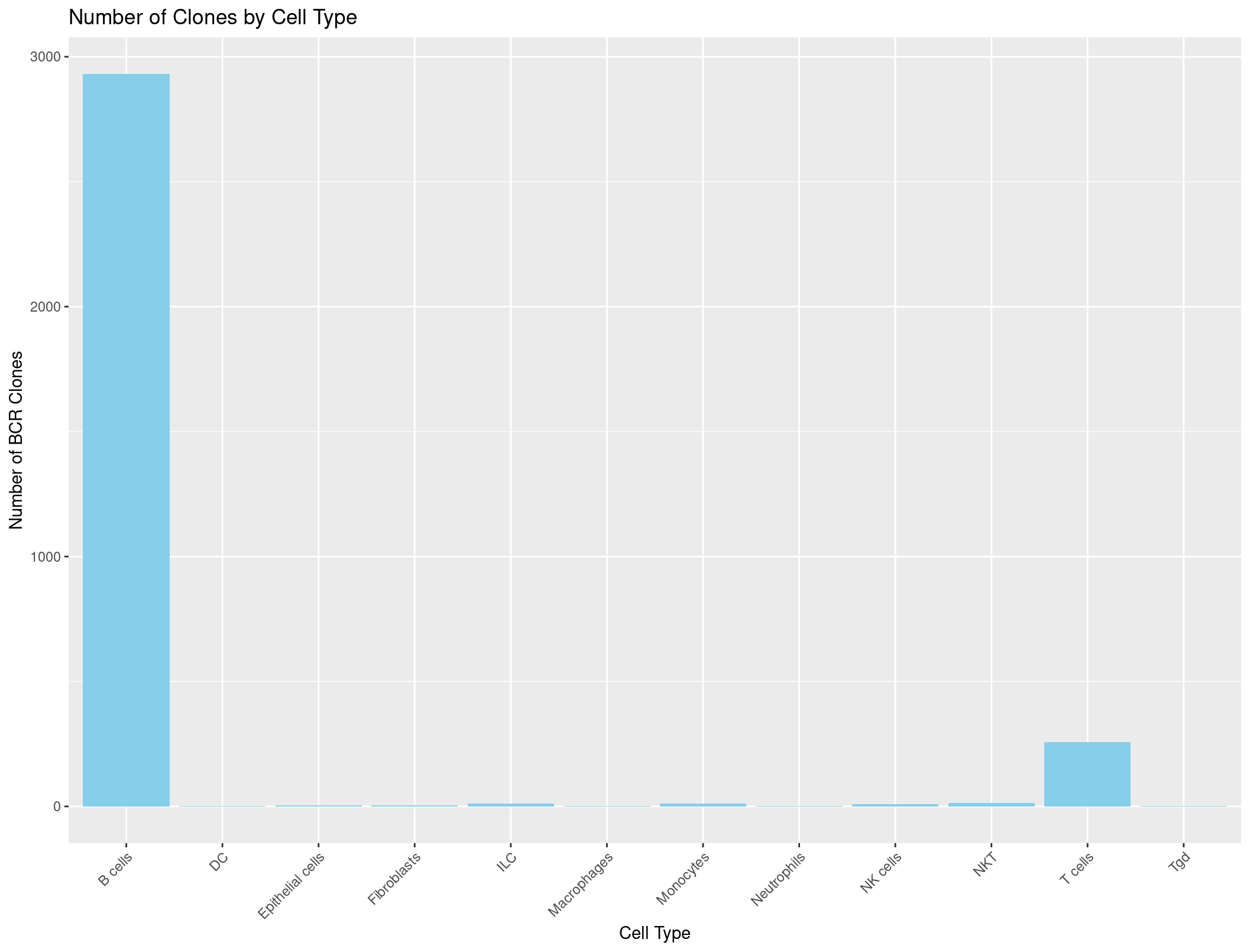The number of BCRs in each celltypes (Correct)