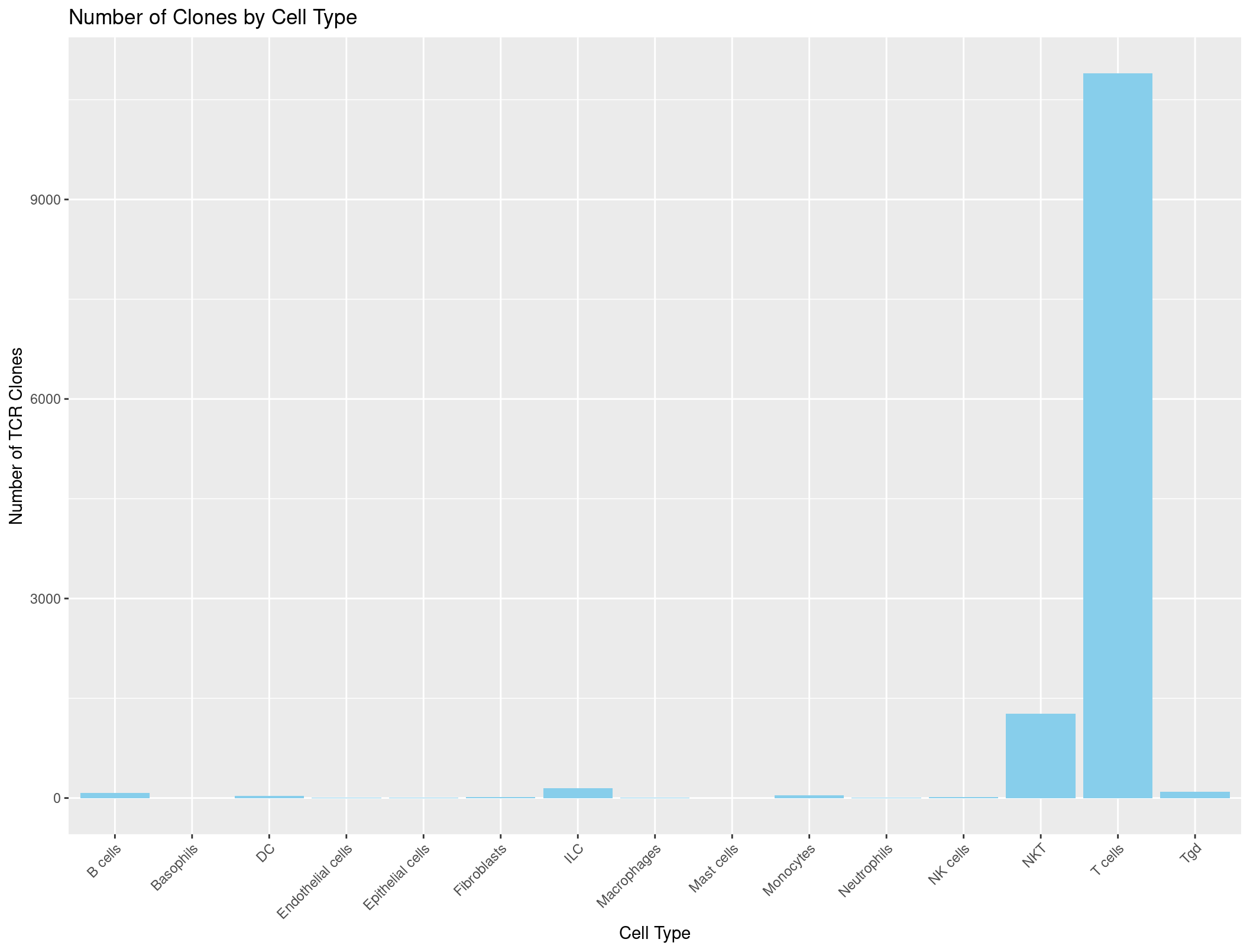 The number of TCRs in each celltypes (Correct)