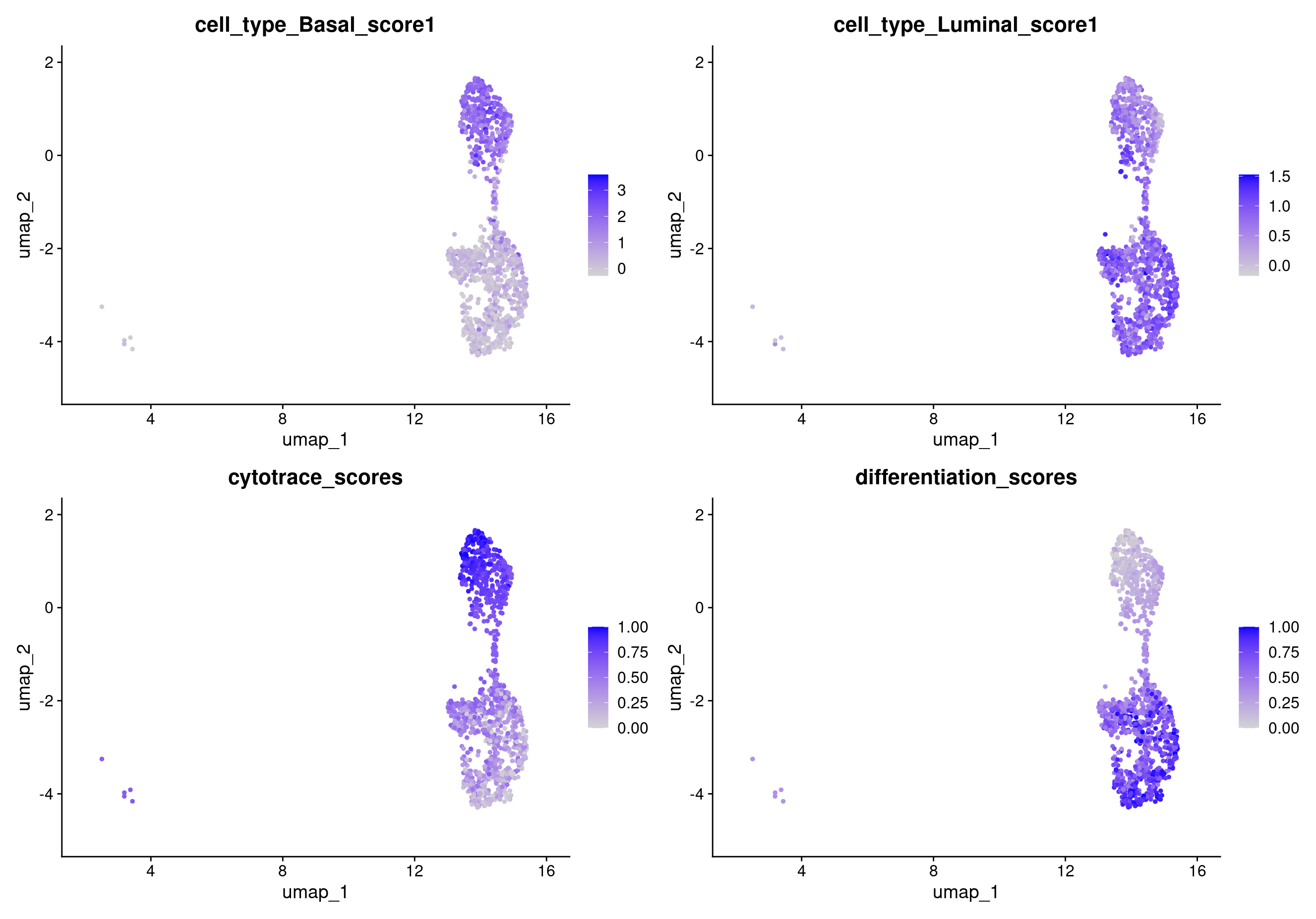 Cytotrace scores of epitheial cells