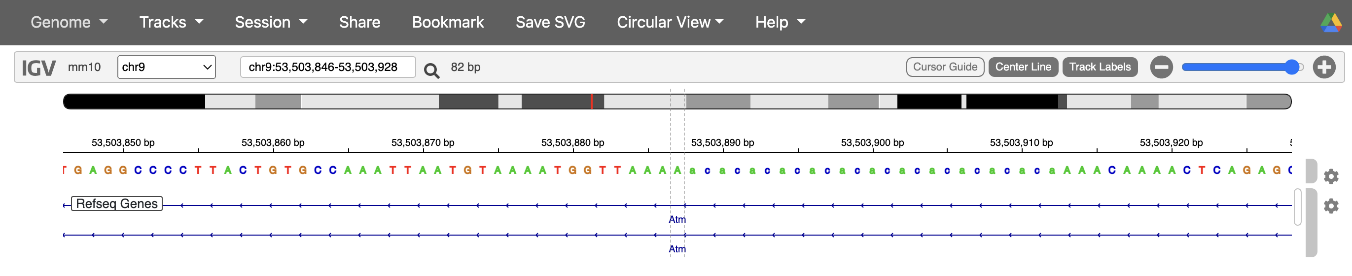 chr9_53503887_anomaly