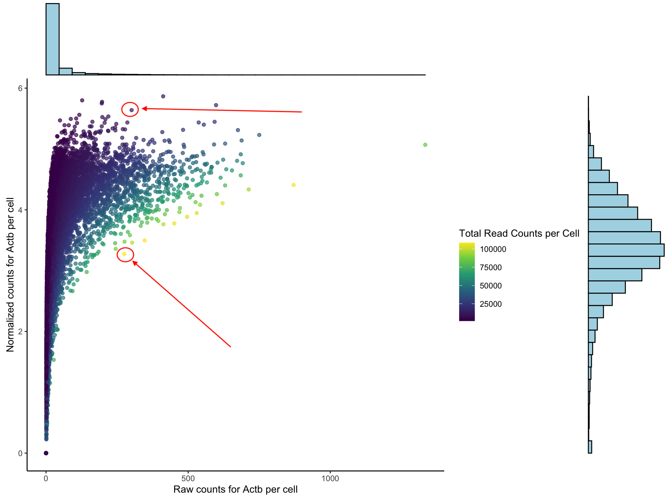 Actb Normalized vs Raw counts