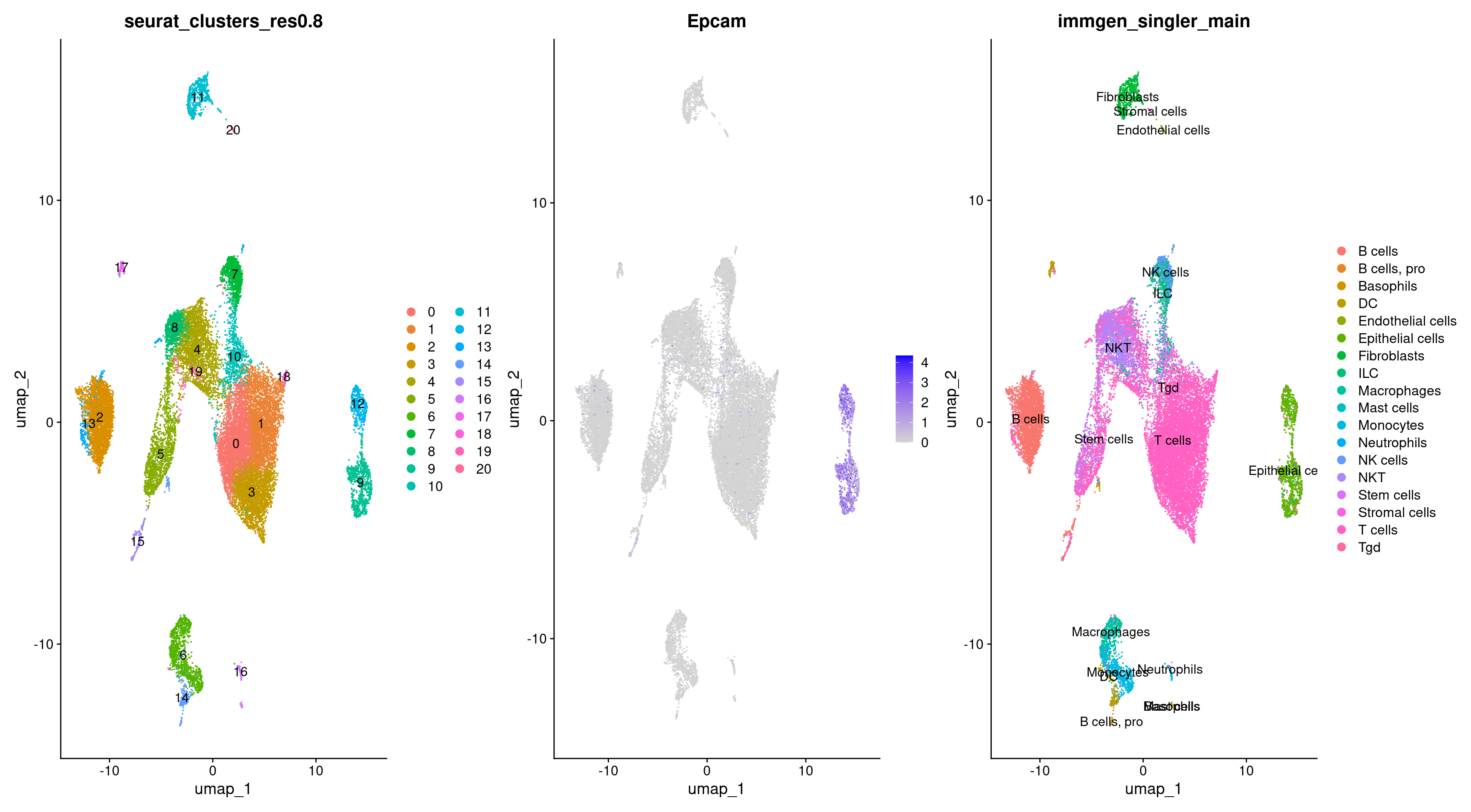 epcam Clusters