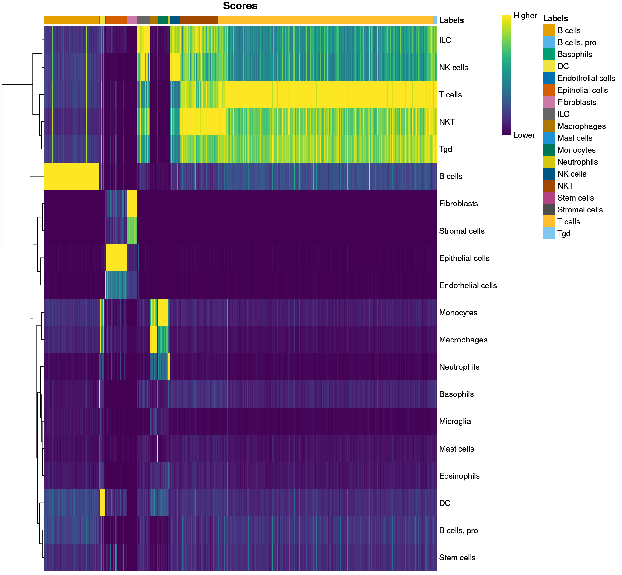 Immgen Main heatmap