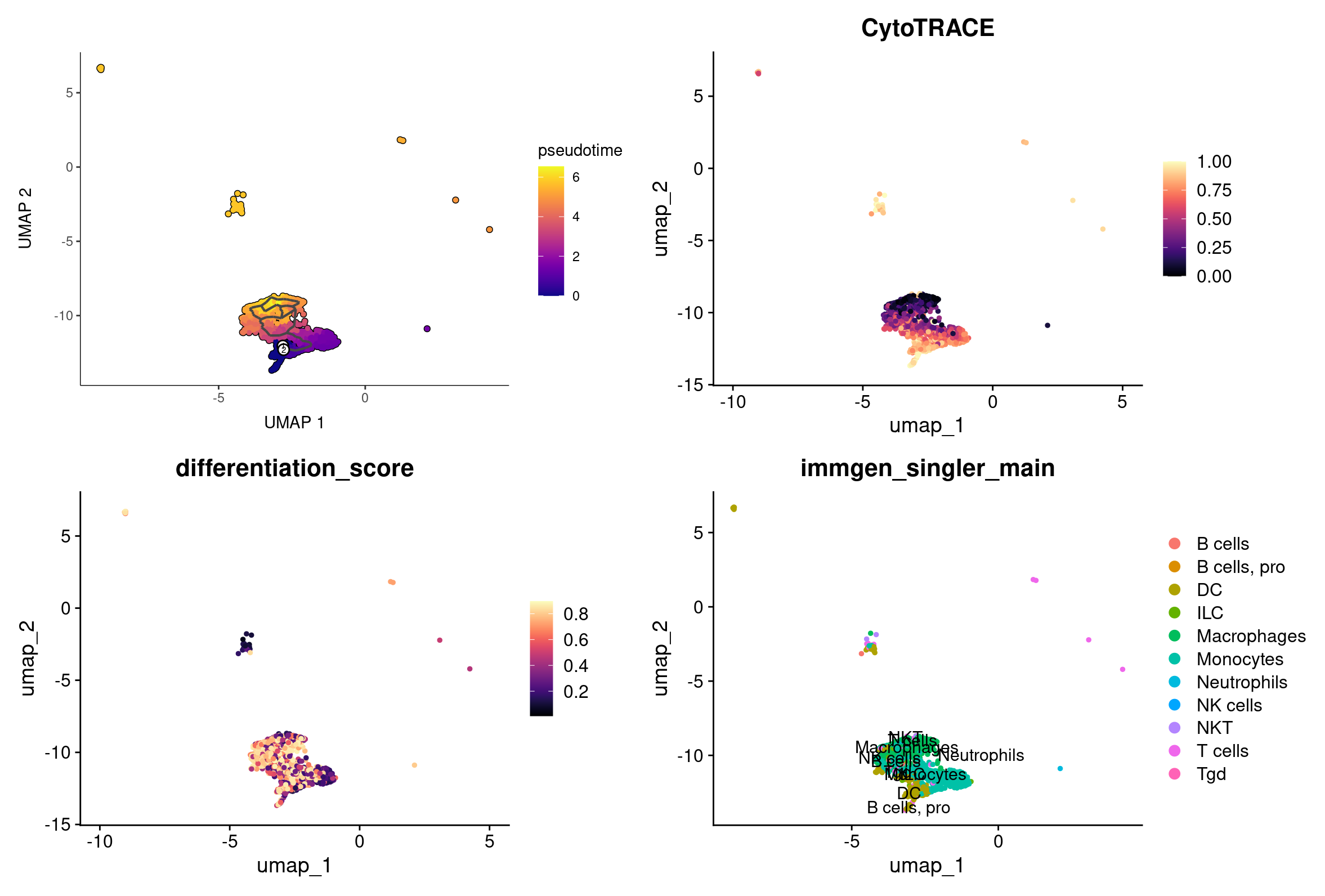 Macrophages differentiation