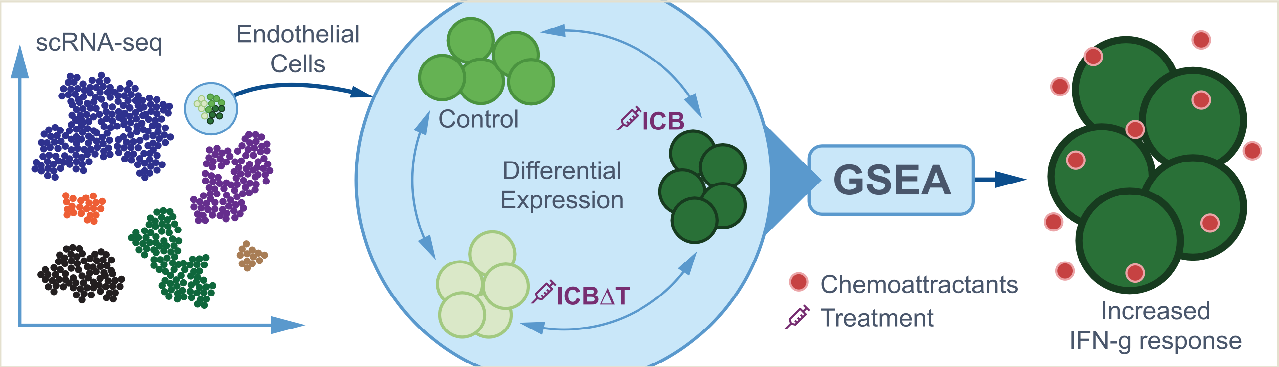 MCBC6-overview