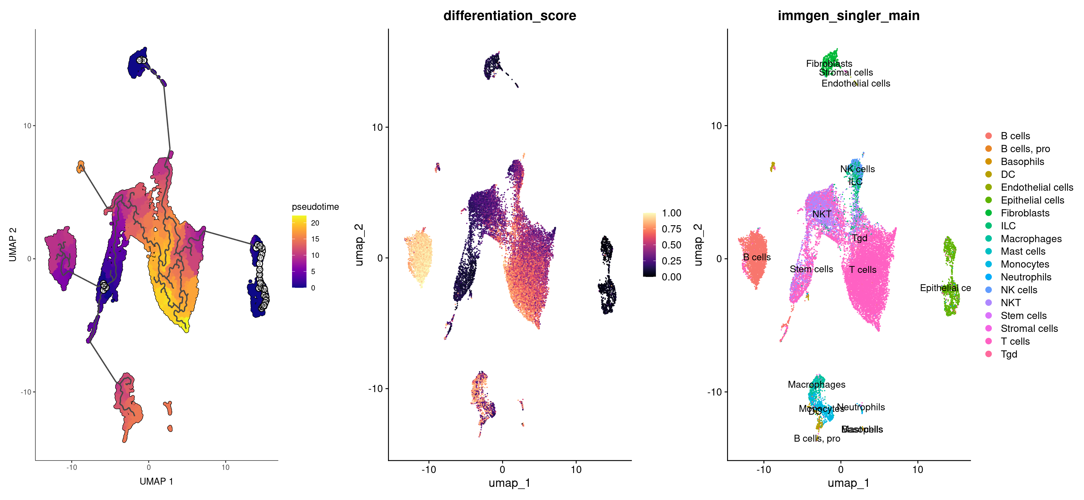 Monocle pseudotime compared with CytoTRACE pseudtime