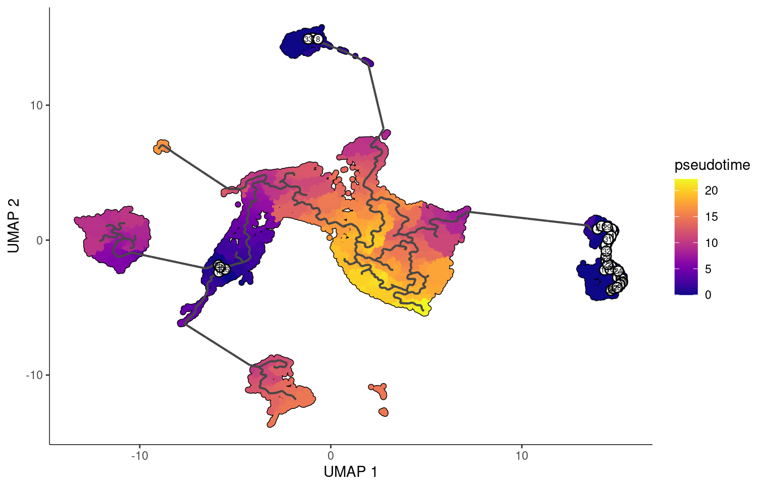 Monocle Pseudotime with multiple roots