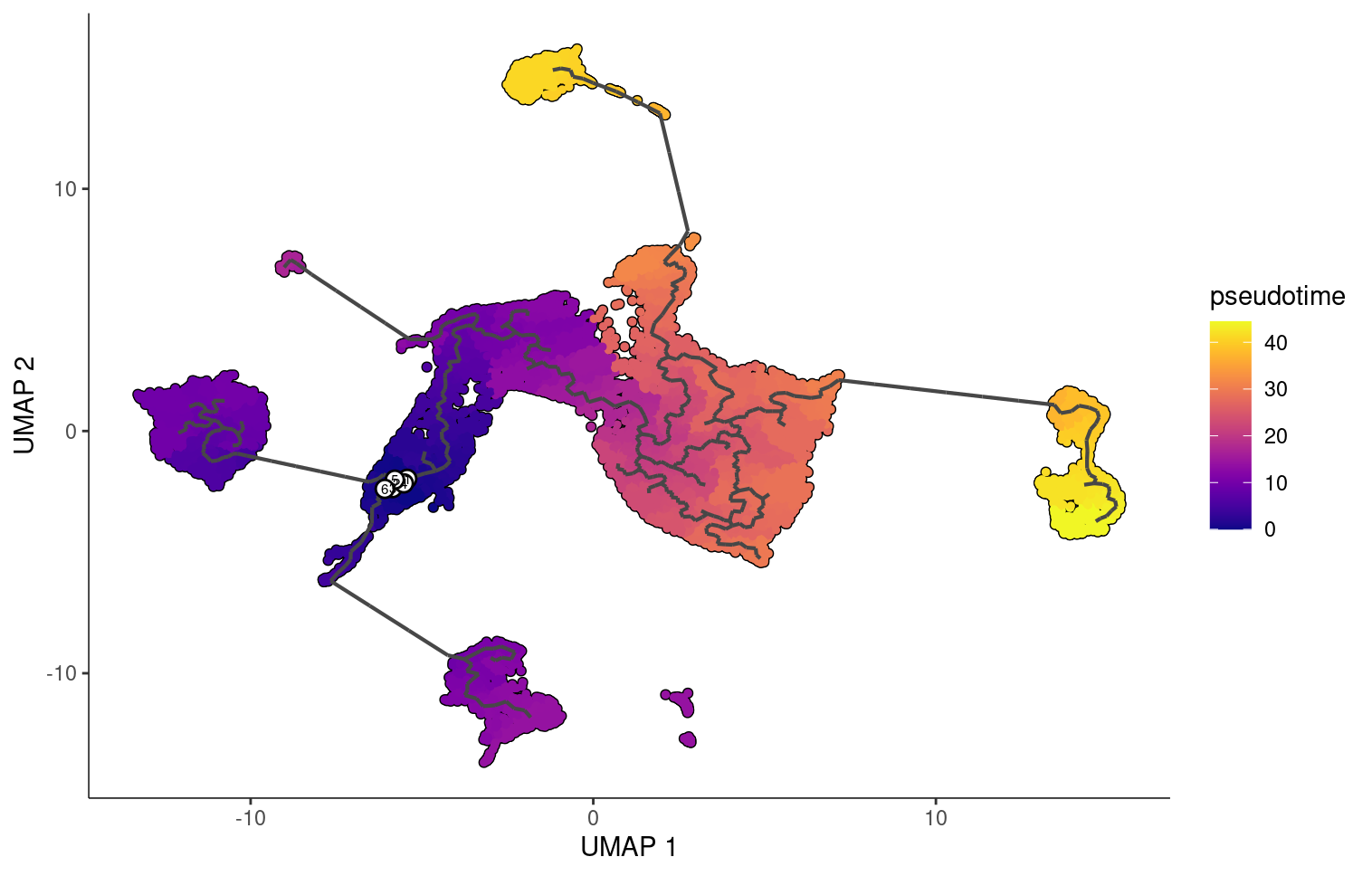 Monocle Pseudotime with Stem Cells as root