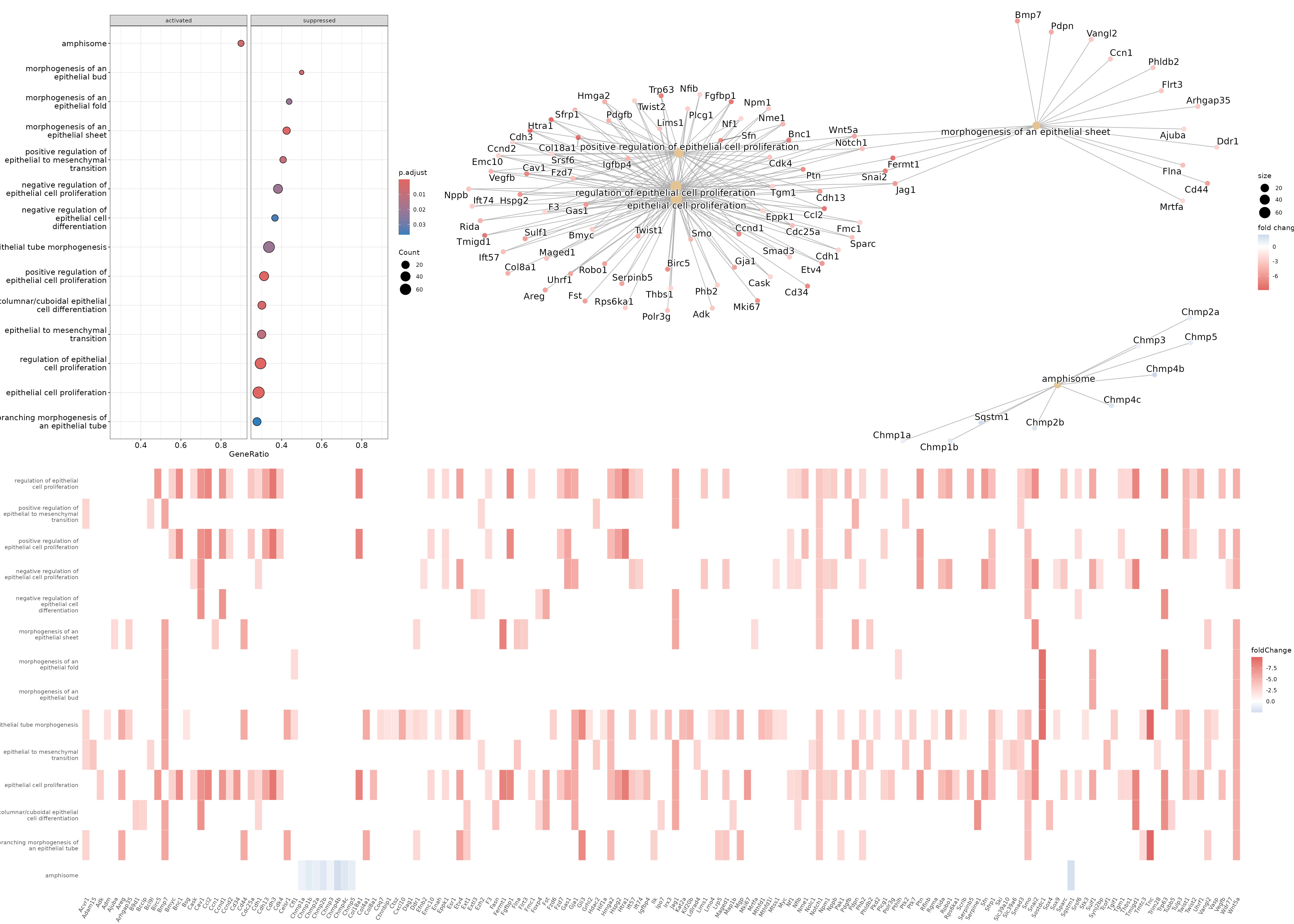 Tumor cells GSEA plots