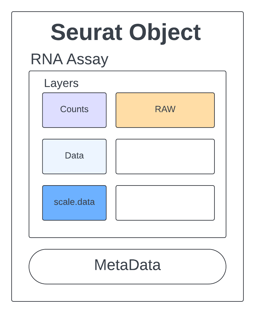 Seurat Object Diagram