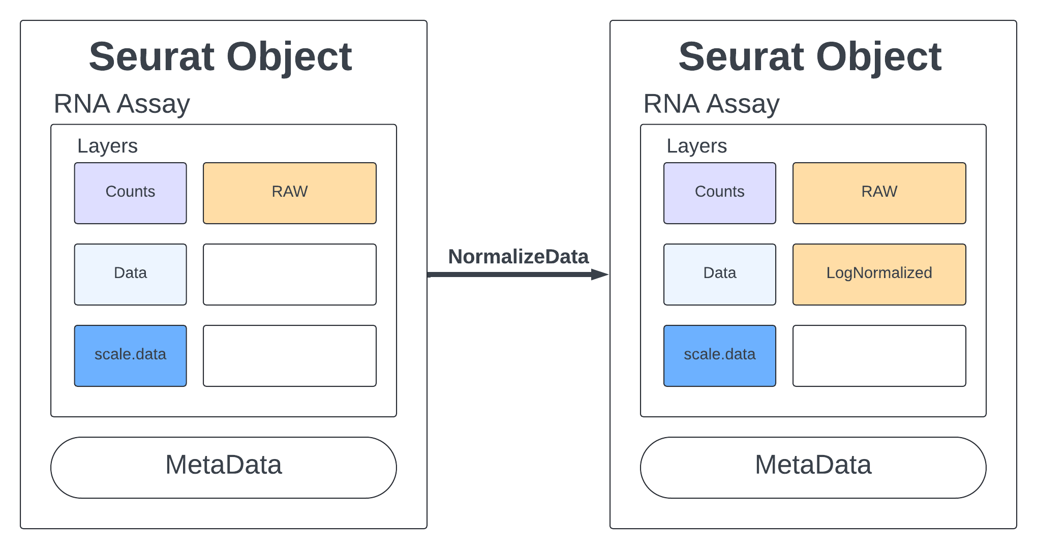 Seurat Object Normalize
