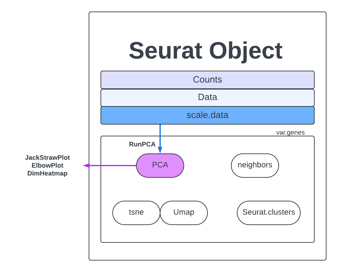 Seurat FindVariableFeatures