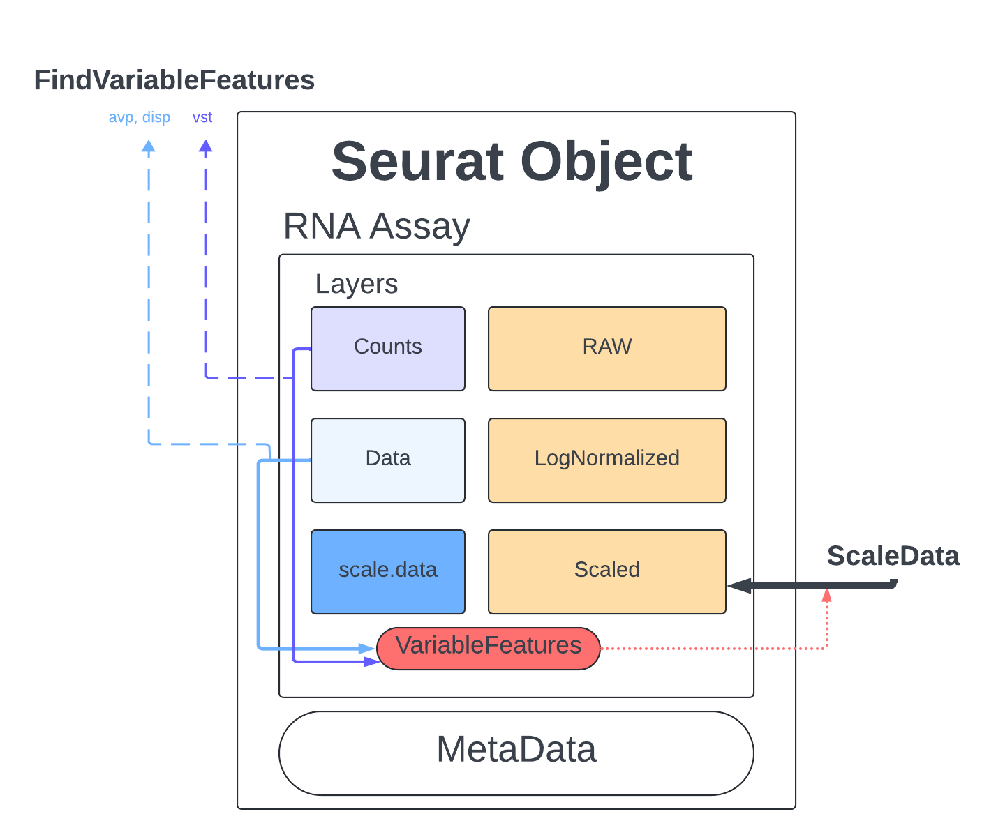 Seurat FindVariableFeatures